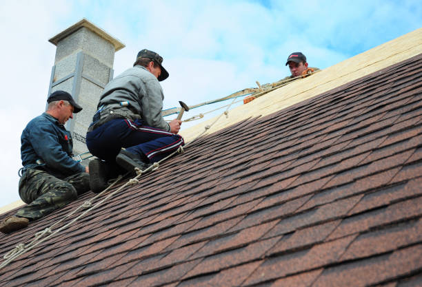 Best Storm Damage Roof Repair  in Dumbarton, VA